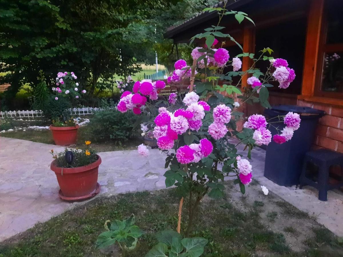 Live Nature Bihać Exterior foto